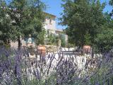 Chambre d'hôte à LACOSTE, 8 personnes, 21m² (Campagne - Vaucluse)
