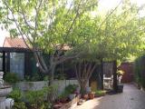 Maison à VALRAS PLAGE, 6 personnes, 65m² (Mer et Océan - Hérault)