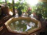 Gîte à bouillante, 7 personnes, 62m² (Dom-Tom - Guadeloupe)