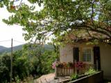 Gîte à SAINT MARTIN DE BOUBAUX, 4 personnes, 50m² (Campagne - Lozère)