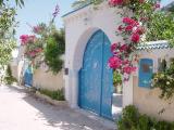 Villa à Djerba, 12 personnes, 250m² (Étranger - Tunisie)